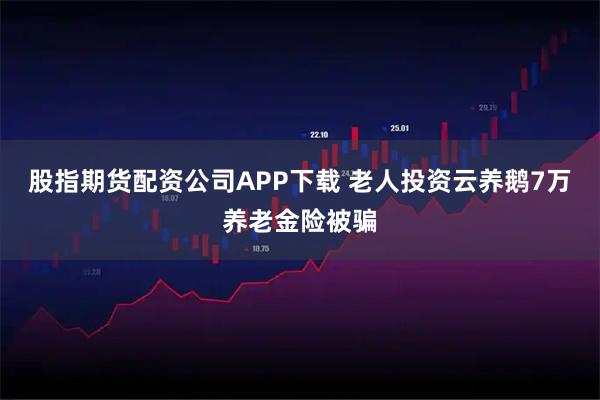 股指期货配资公司APP下载 老人投资云养鹅7万养老金险被骗