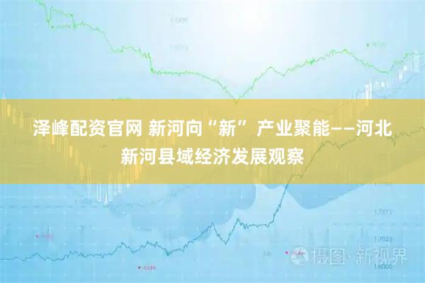 泽峰配资官网 新河向“新” 产业聚能——河北新河县域经济发展观察
