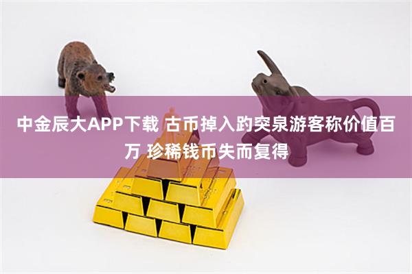 中金辰大APP下载 古币掉入趵突泉游客称价值百万 珍稀钱币失而复得