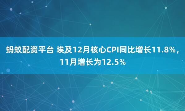蚂蚁配资平台 埃及12月核心CPI同比增长11.8%，11月增长为12.5%