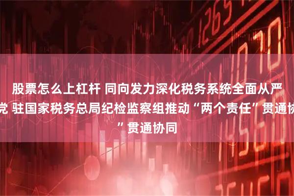 股票怎么上杠杆 同向发力深化税务系统全面从严治党 驻国家税务总局纪检监察组推动“两个责任”贯通协同