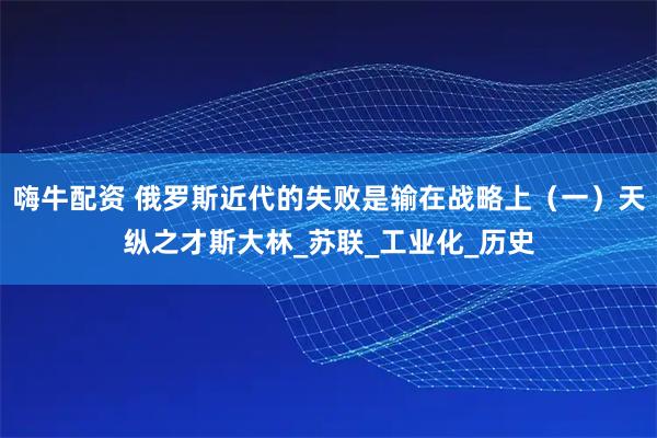 嗨牛配资 俄罗斯近代的失败是输在战略上（一）天纵之才斯大林_苏联_工业化_历史
